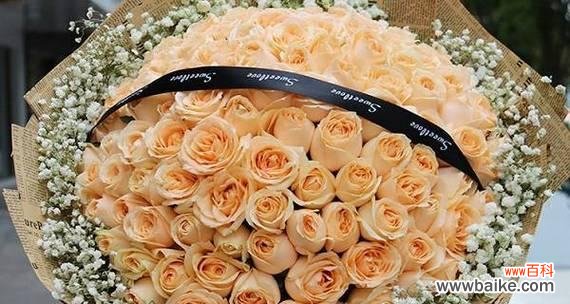 探究香槟色玫瑰的深刻内涵与美好寓意 香槟色玫瑰的花语象征与寓意