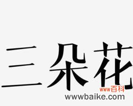 向日葵花语七朵和六朵有何不同？