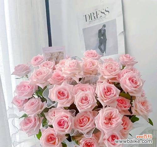 荔枝花语的由来是什么?荔枝的花语有何含义?