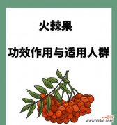 火把果的花语有哪些动听之处？