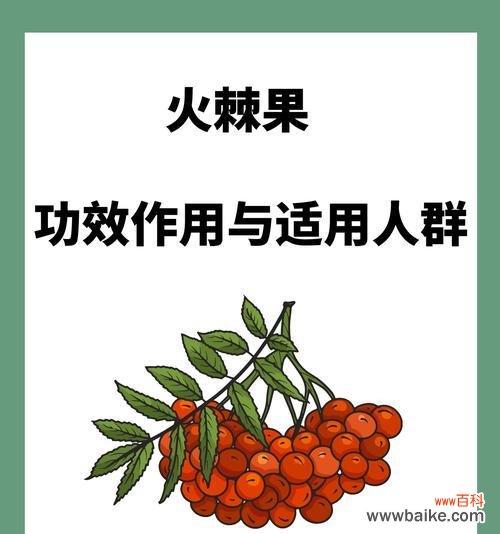 火把果的花语有哪些动听之处?