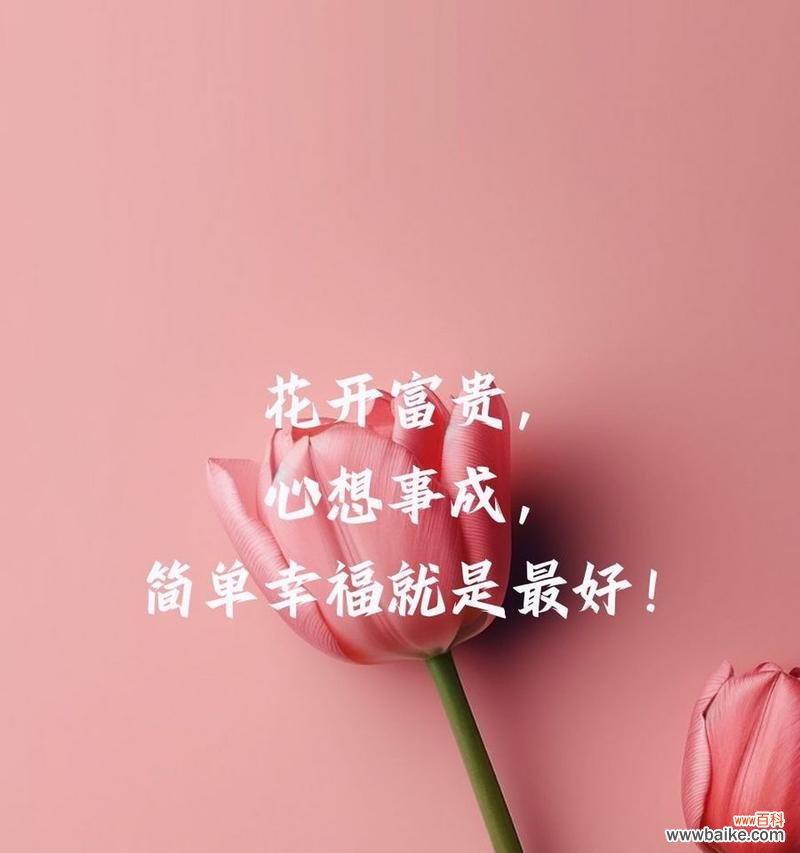 明天会更好快乐的花语代表什么？如何通过花语传递正能量？