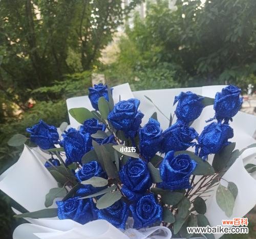 探寻蓝色妖姬的美丽与神秘,解读其独特花语 探寻蓝色妖姬的传说