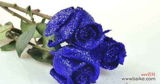 探寻蓝色妖姬的美丽与神秘,解读其独特花语 探寻蓝色妖姬的传说