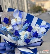 解读蓝色妖姬玫瑰花的意义与传说 蓝色妖姬玫瑰花