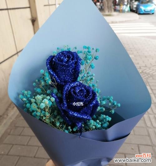 揭秘蓝色妖姬的魅力与花之语言 美丽的蓝色妖姬与她的花语