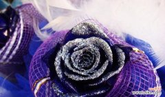 解密蓝色妖姬 探寻蓝色妖姬的神秘意义