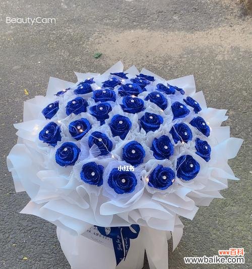 揭开蓝色妖姬的隐秘面纱 蓝色妖姬的神秘与寓意