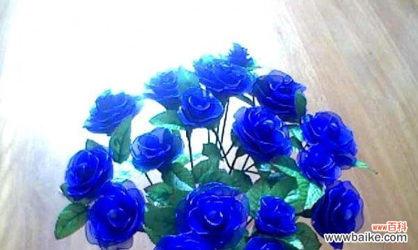 揭开蓝色妖姬的隐秘面纱 蓝色妖姬的神秘与寓意