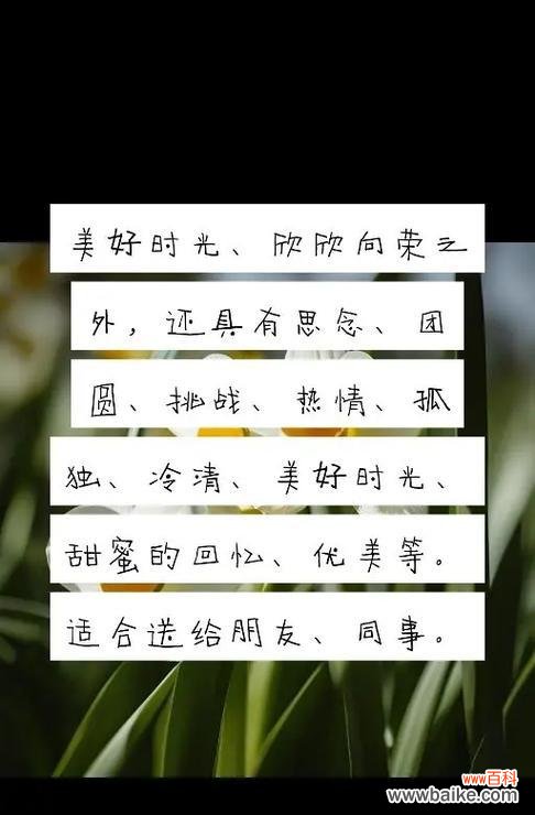 水仙花的花语有哪些?如何解读?