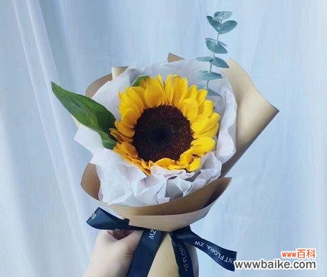 感谢人生的花语有哪些?花语中如何表达感谢?