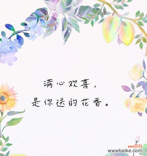 小确幸的幸福玫瑰代表什么?它的花语是什么?