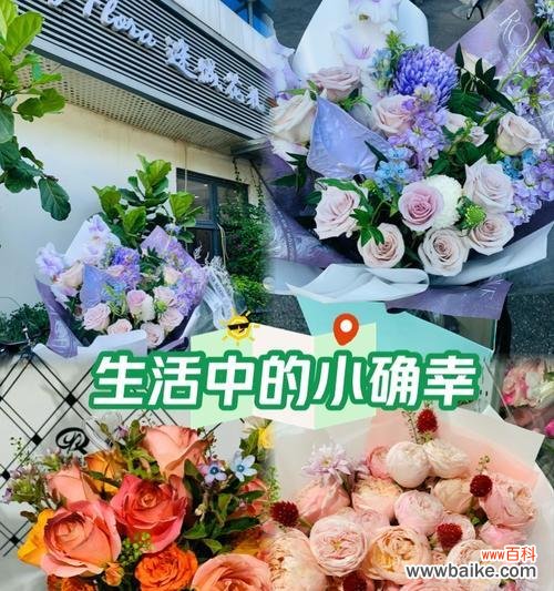 小确幸的幸福玫瑰代表什么?它的花语是什么?