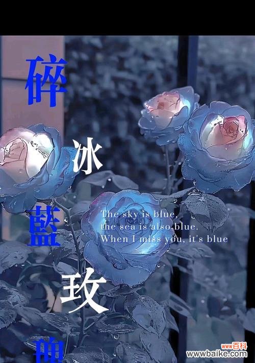 冰蓝玫瑰花语有何特殊含义？