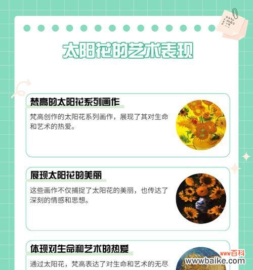 太阳花的材质与花语有何关联？