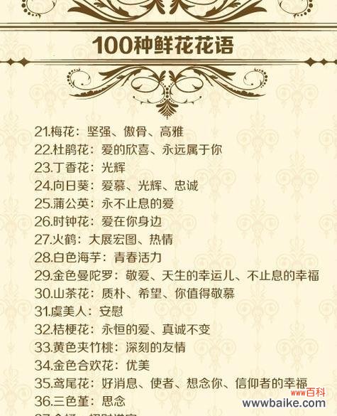 366天花语及其寓意是什么?如何理解这些花语?