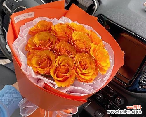 橙色玫瑰花在花瓶中的含义是什么?