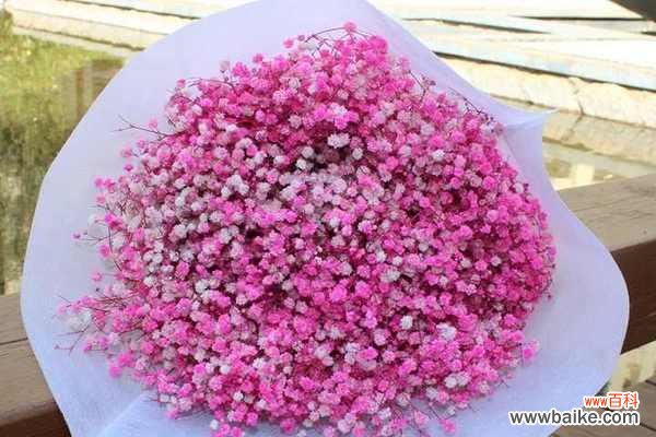 粉玫瑰干花的花语有何特别之处?