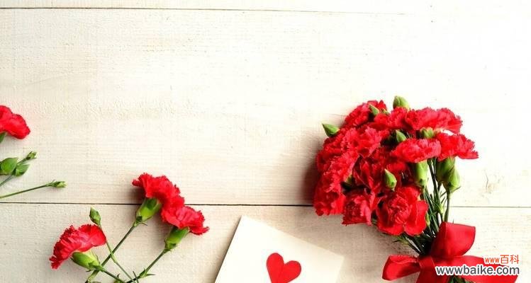 康乃馨花的各种颜色代表的含义及文化背景 康乃馨的花语和寓意