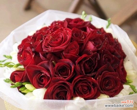 红玫瑰代表的花语有哪些?