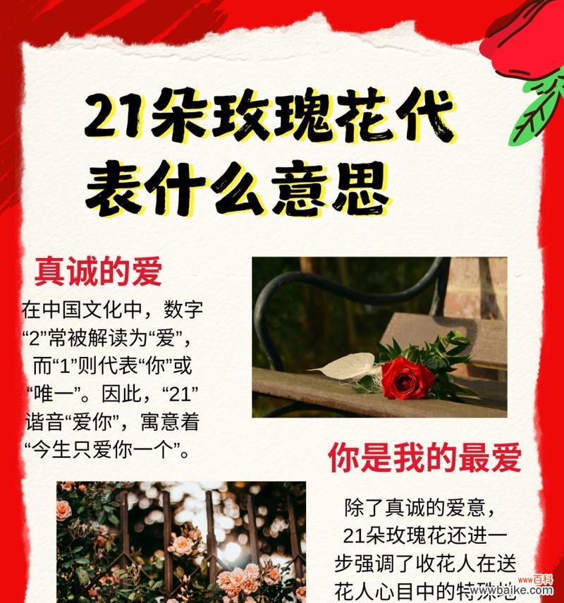 花语是告别过去的是什么花？哪种花象征着新的开始？