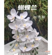 道具骄傲的花语有何深意？如何正确使用？