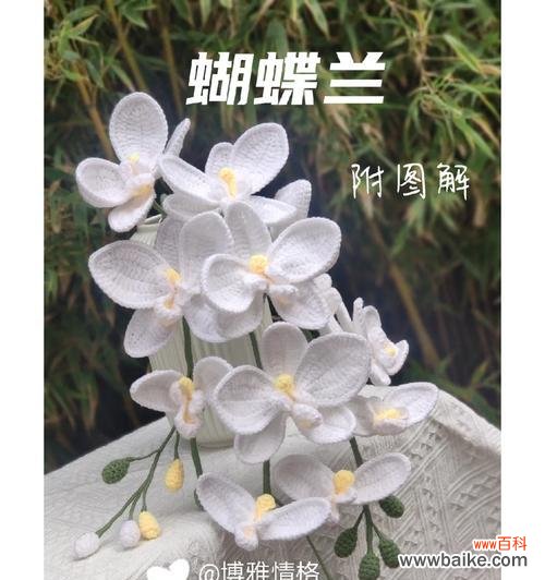 道具骄傲的花语有何深意?如何正确使用?