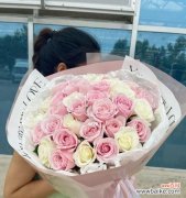 33朵玫瑰花传递了怎样的信息？