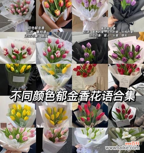 哪种花代表了恋人的花语和含义？