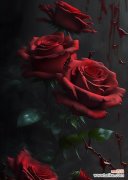 什么颜色的玫瑰花代表什么啊？不同颜色玫瑰的象征意义是什么？