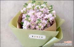 探寻蓝桉花语的含义与赠送对象 以蓝桉的花语——寄托深情的最佳选择