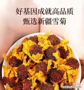 羊奶菊的花语代表什么？羊奶菊在花语中通常象征什么？