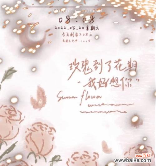 酒杯状玫瑰的花语代表了什么？