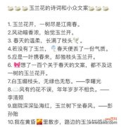 花语芬芳通常表达什么情感？