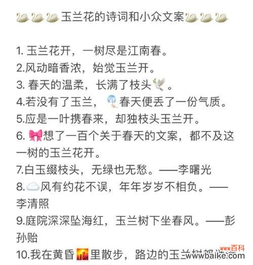 花语芬芳通常表达什么情感？