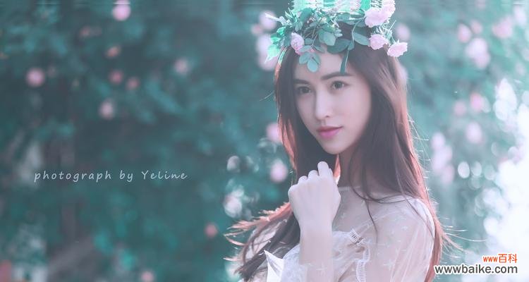 蔷薇之恋的花语表达了怎样的情感？