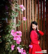 蔷薇之恋的花语表达了怎样的情感？