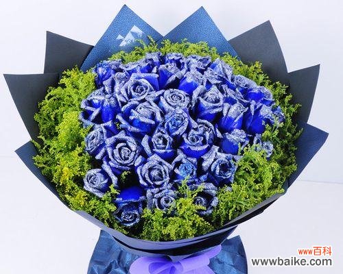揭开一朵蓝玫瑰的象征之谜 蓝玫瑰的神秘意义