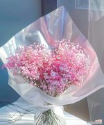 2月24日出生的人花语有何特别之处？