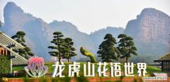 龙虎山花语世界的位置在哪？