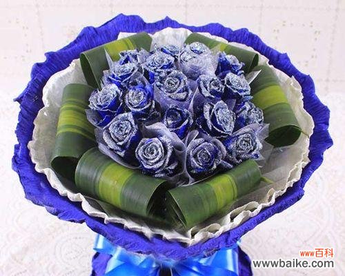 探寻蓝玫瑰背后的诗意之花 以蓝玫瑰的寓意与意义