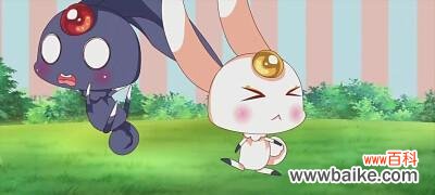 小兔子永恒花语代表了什么？