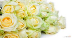 肉色香槟玫瑰的花语有何特别之处？