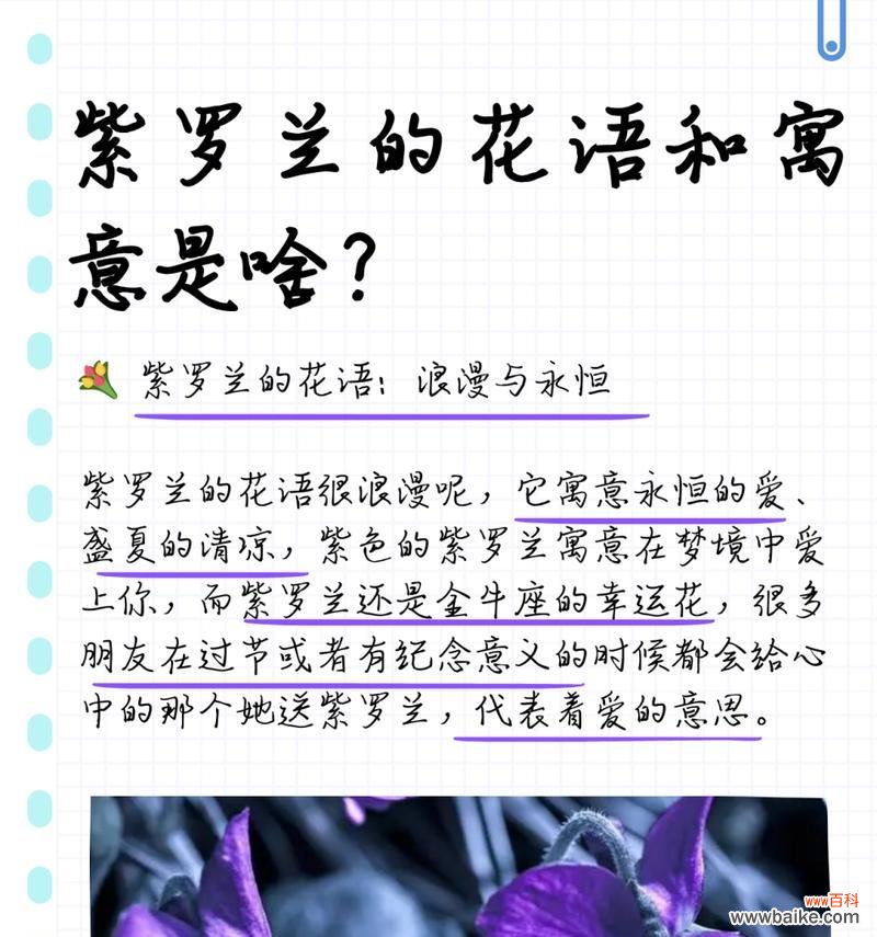 紫罗兰与黄玫瑰组合的花语是什么?