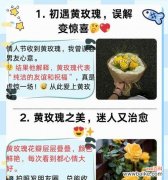 紫罗兰与黄玫瑰组合的花语是什么？