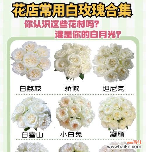 多束玫瑰花花语是什么？不同数量的玫瑰代表什么？