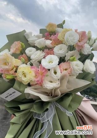 夜市卖花的花语通常代表什么?