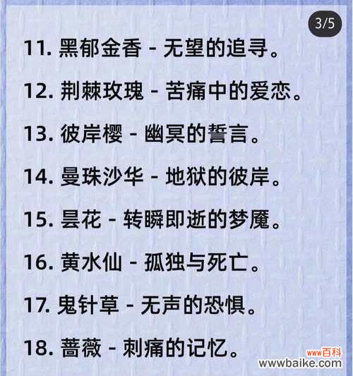 冷傲美艳的花语有哪些？冷傲美艳的花代表什么？