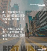 兰花的花语含义代表什么？