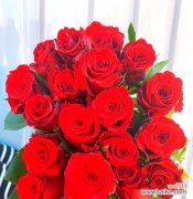 哪种花象征着求婚？花语是“嫁给我”的花是什么？